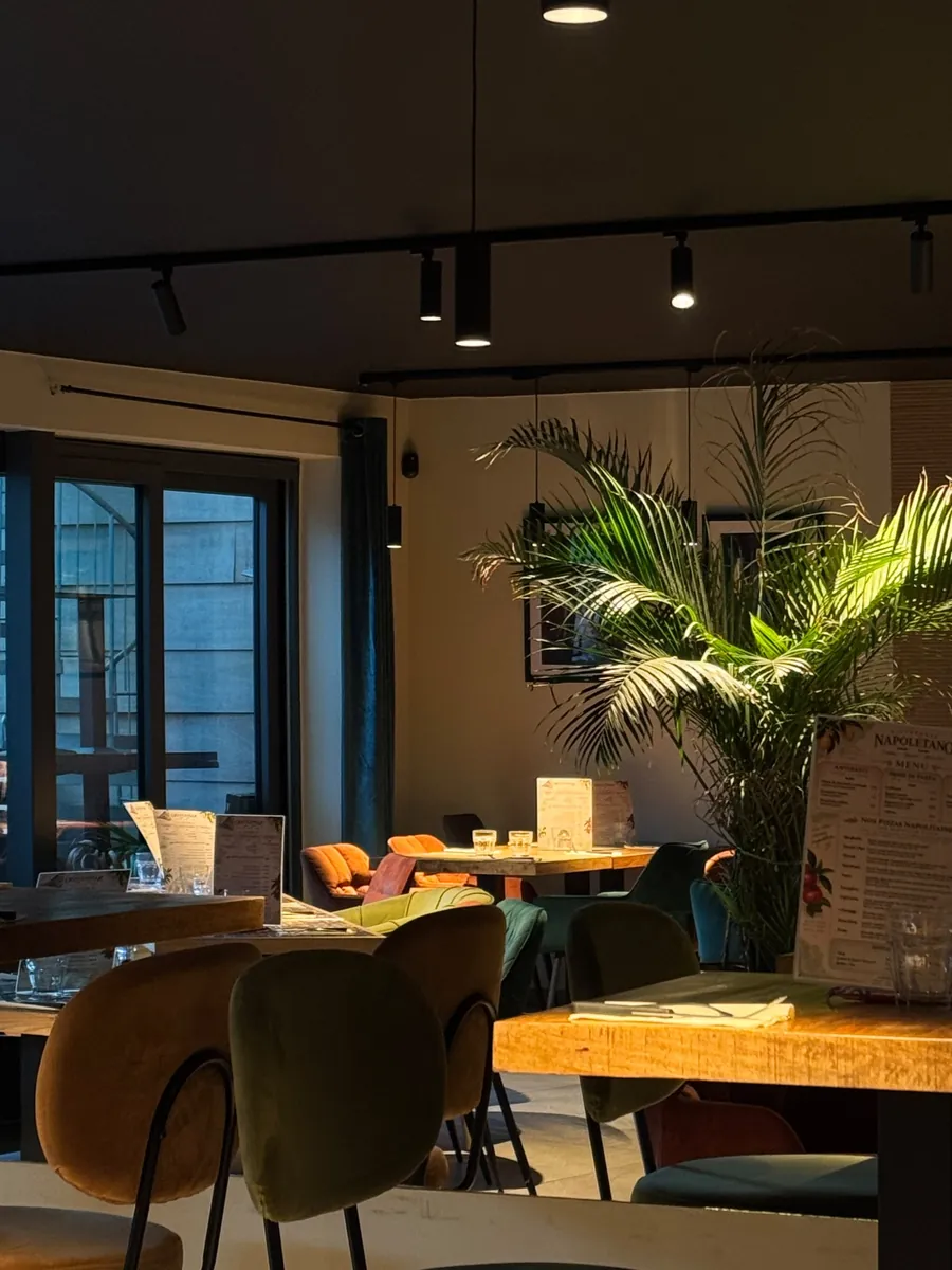 Inside Amore: wooden tables, velvet chairs and palm trees